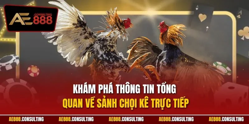 Khám phá thông tin tổng quan về sảnh chọi kê trực tiếp