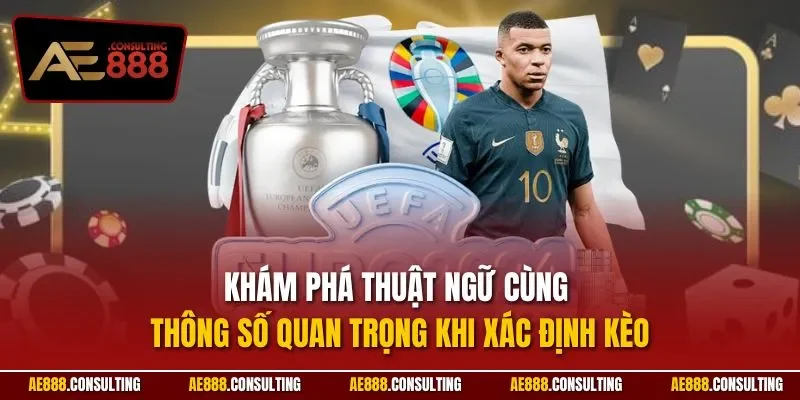 Khám phá thuật ngữ cùng thông số quan trọng khi xác định kèo