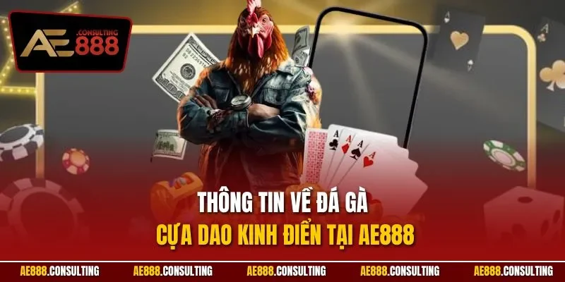 Thông tin về đá gà cựa dao kinh điển tại AE888