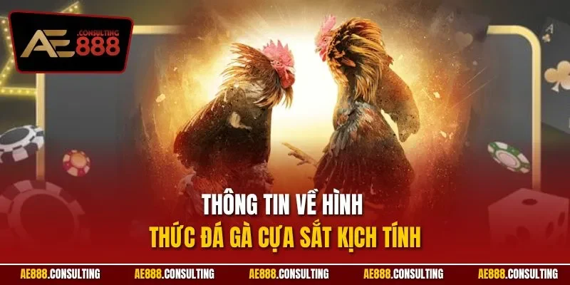 Thông tin về hình thức đá gà cựa sắt kịch tính